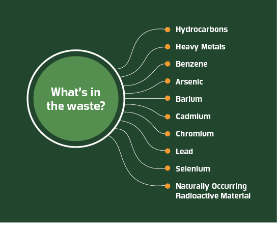 A graphic diagram showing the elements that are in waste.